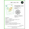 Octogramme